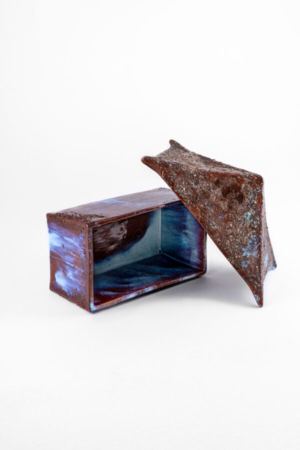 Lo scrigno del drago azzurro 1